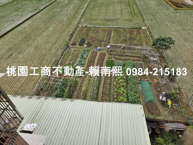 蘆竹農舍-11