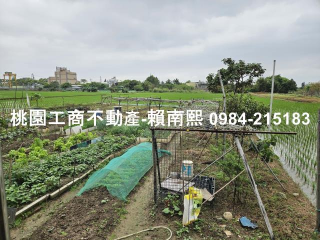 蘆竹農舍-14