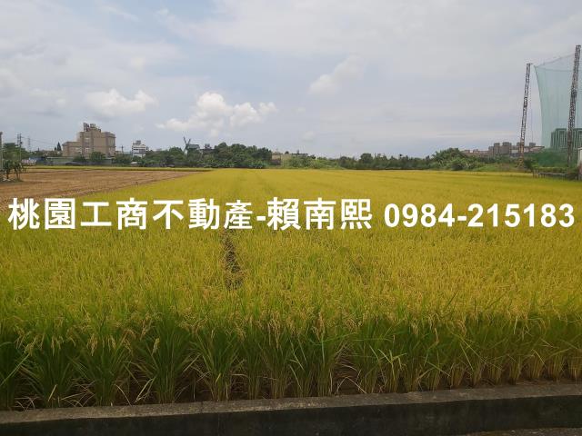 蘆竹農舍-0