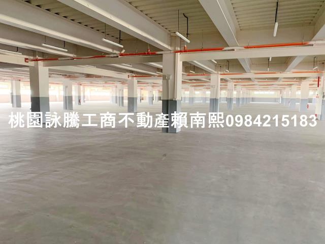 蘆竹大樓-2
