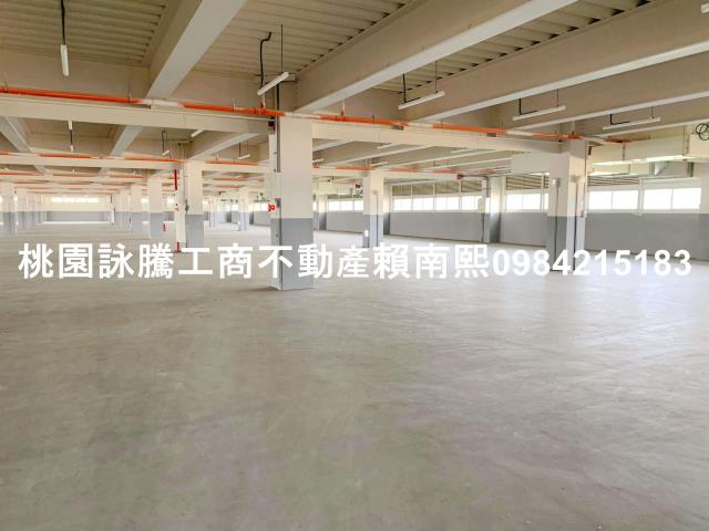 蘆竹大樓-3
